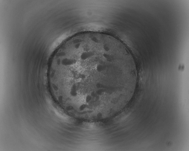 X0000112960679200909031022