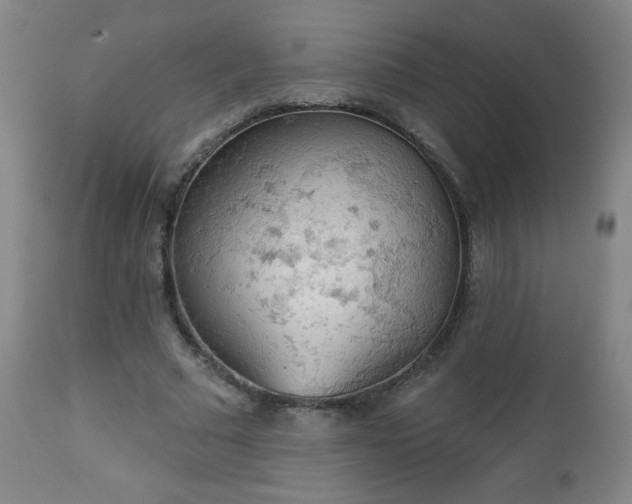 X0000112960681200909031022