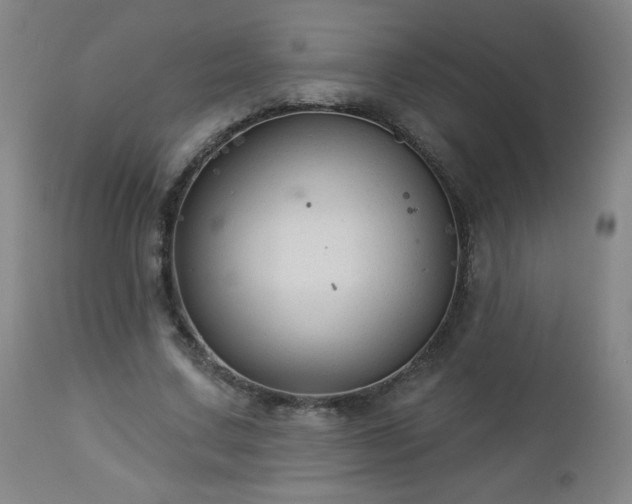 X0000112960683200909031022