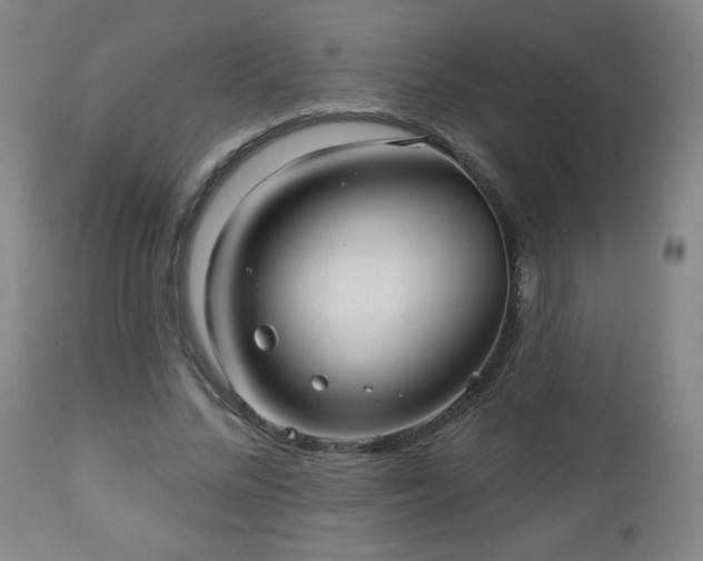 X0000112960684200909031022