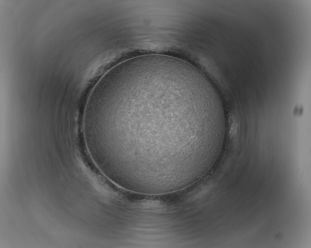 X0000112960685200909031022