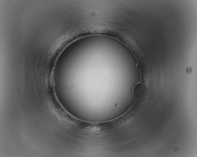 X0000112960687200909031022