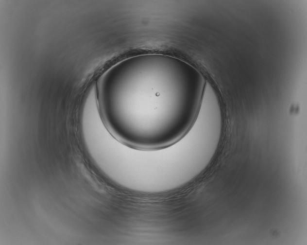 X0000112960688200909031022