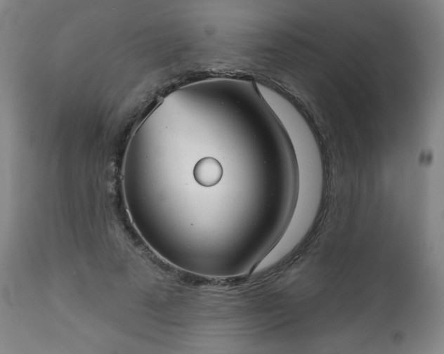 X0000112960689200909031022