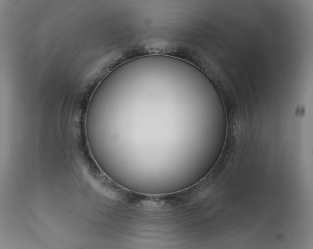 X0000112960690200909031022