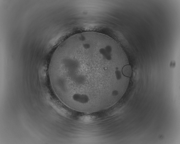 X0000112960691200909031022