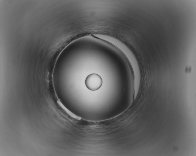 X0000112960692200909031022