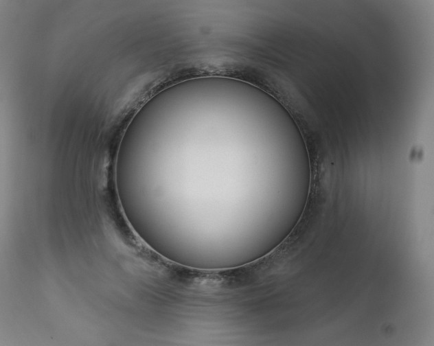 X0000112960694200909031022