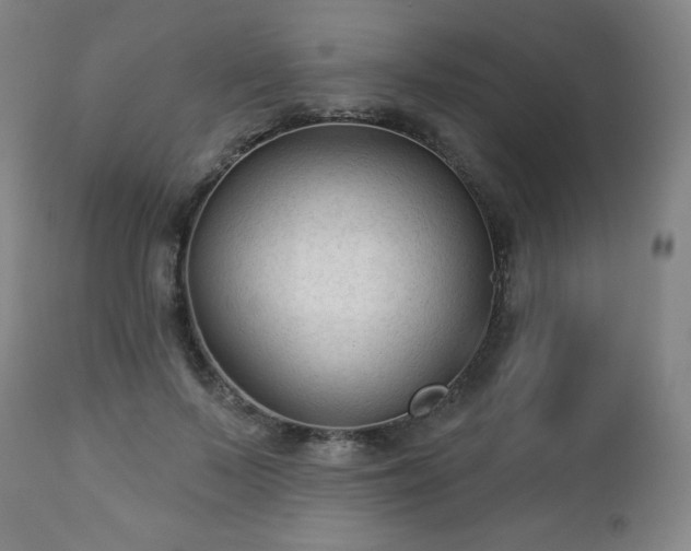 X0000112960695200909031022