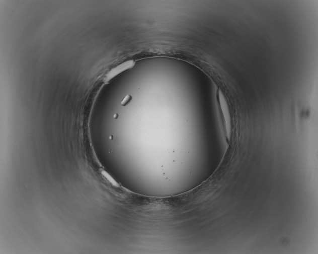 X0000112960696200909031022