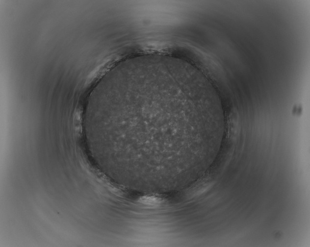 X0000112960699200909031022