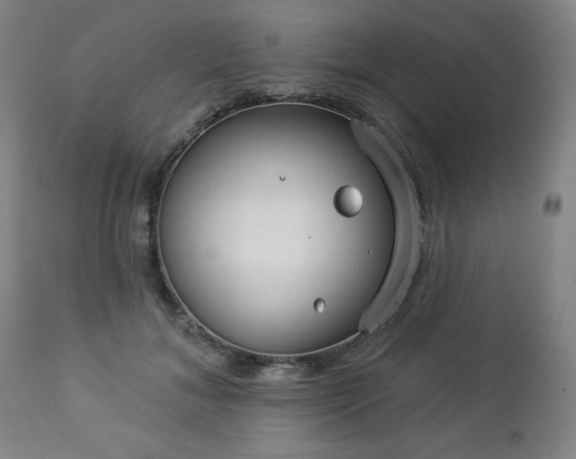 X0000112960700200909031022