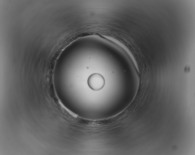 X0000112960701200909031022