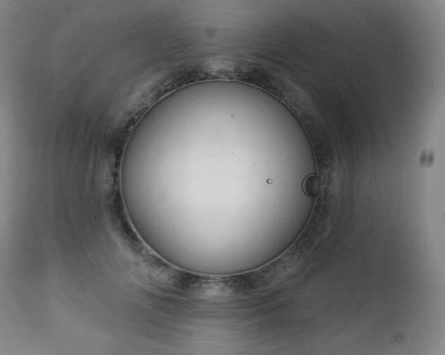 X0000112960702200909031022