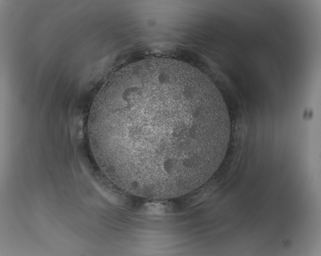 X0000112960703200909031022