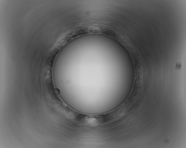 X0000112960706200909031022