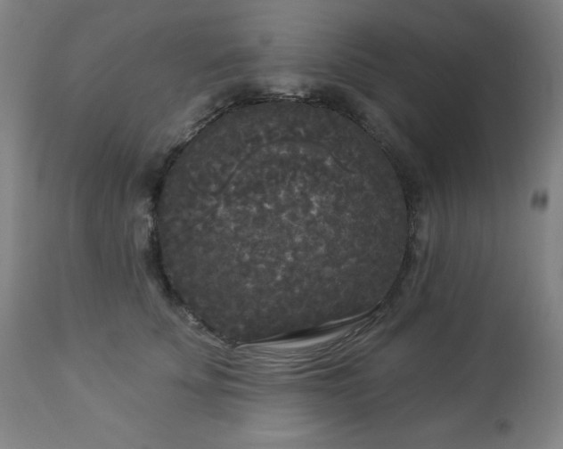 X0000112960707200909031022