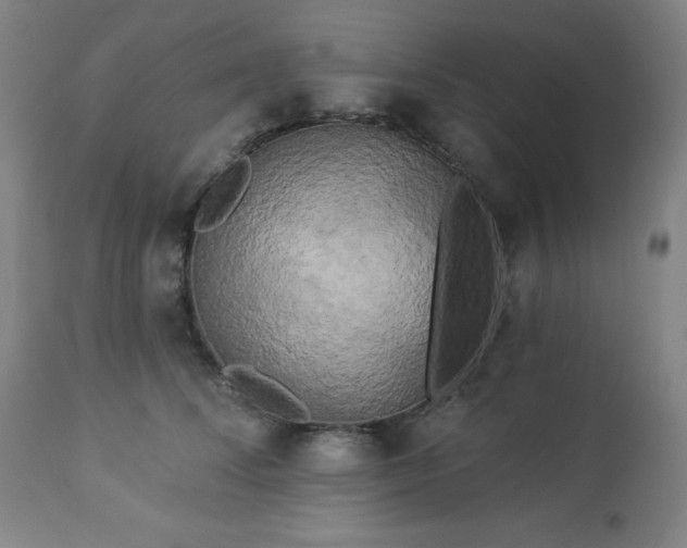 X0000112960708200909031022