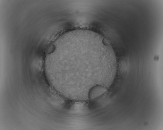 X0000112960709200909031022