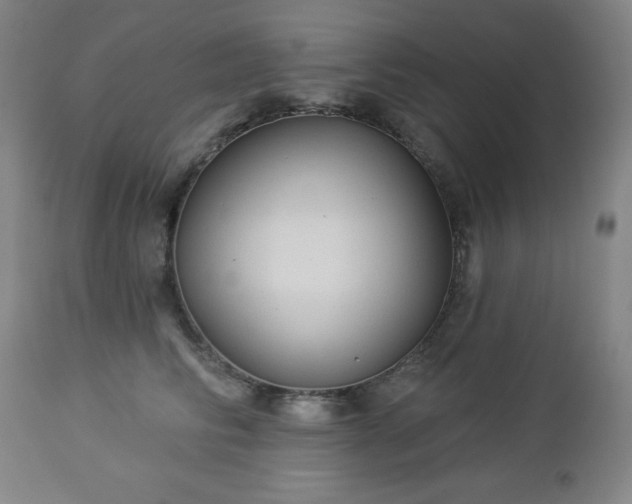 X0000112960710200909031022