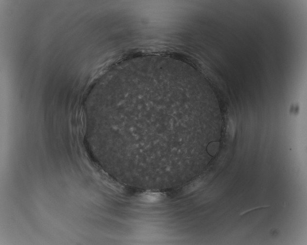 X0000112960711200909031022