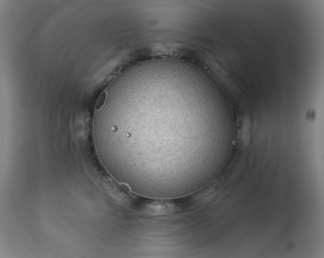 X0000112960712200909031022