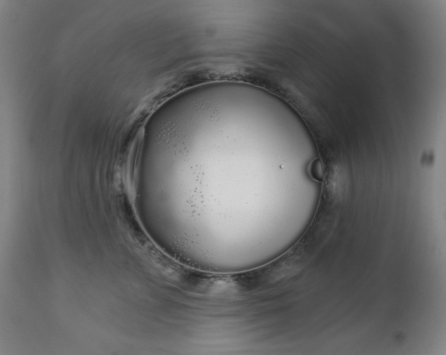 X0000112960715200909031021