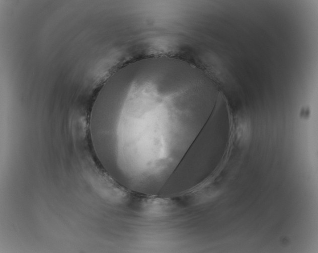 X0000112960716200909031021