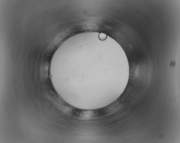 X0000112960717200909031021