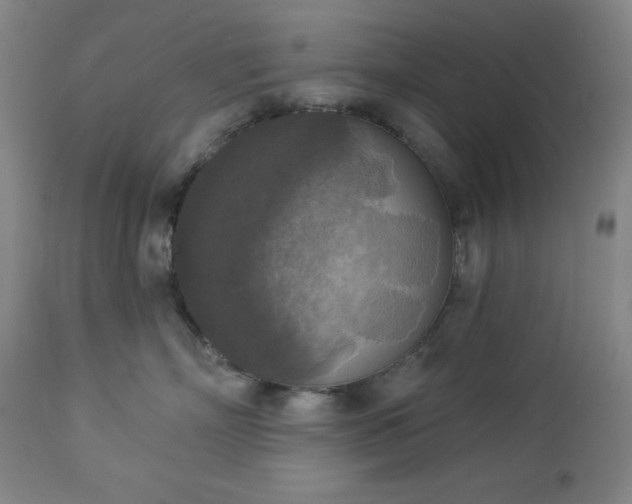 X0000112960718200909031021