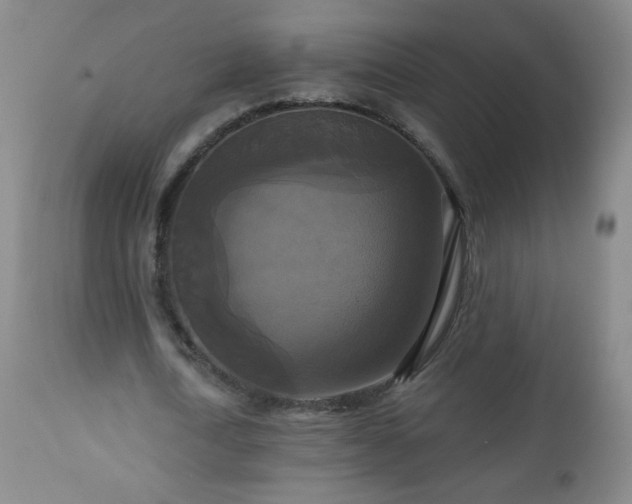 X0000112960722200909031021