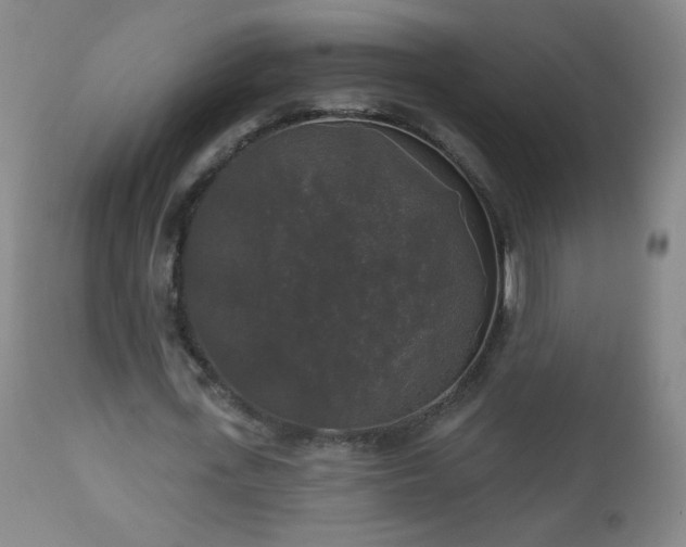 X0000112960723200909031021