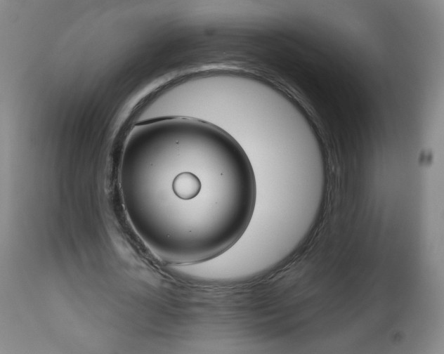 X0000112960724200909031021