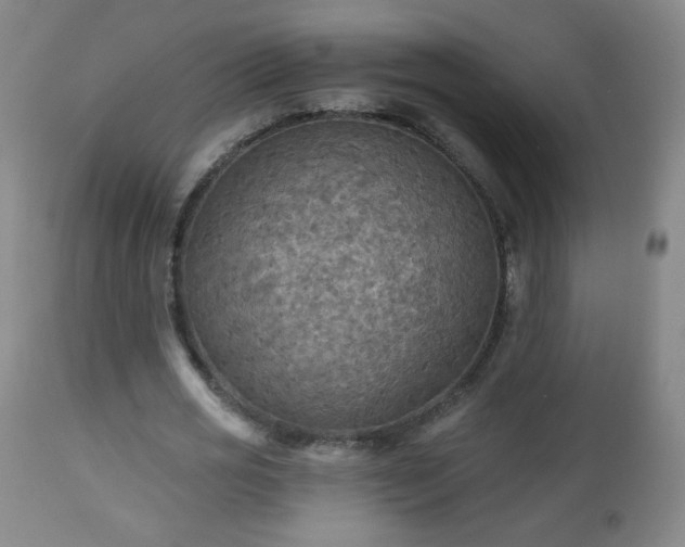 X0000112960725200909031021