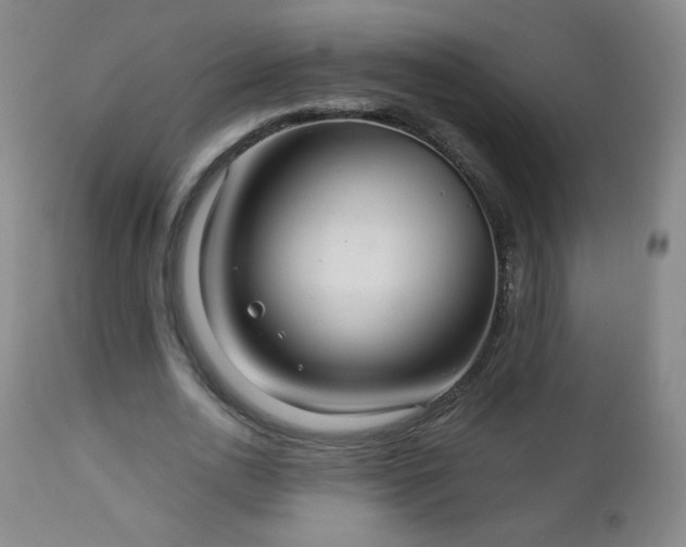 X0000112960726200909031021