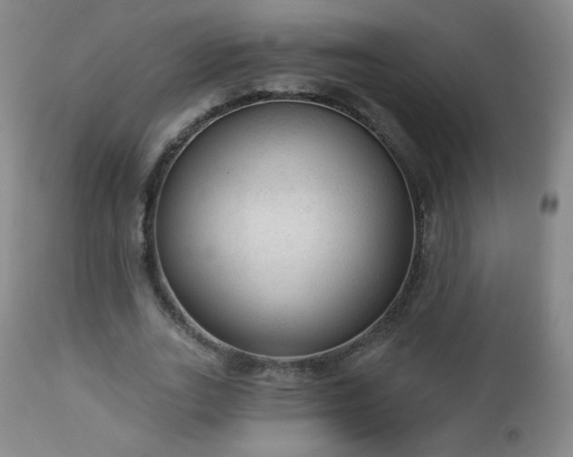 X0000112960727200909031021