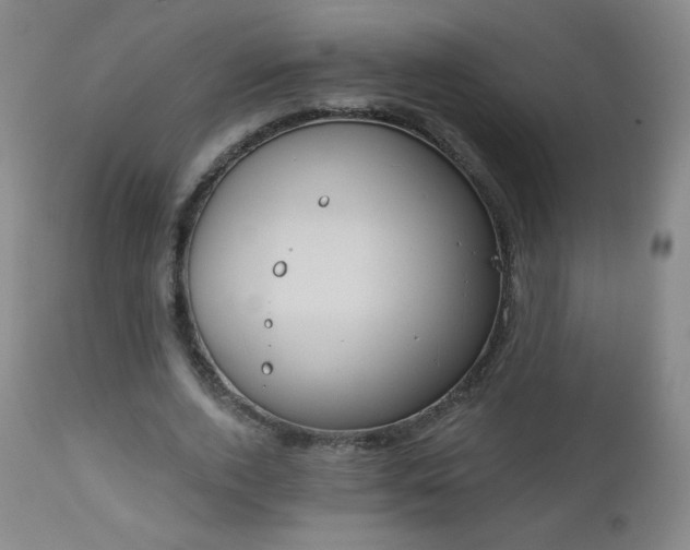 X0000112960728200909031021