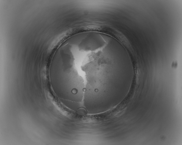 X0000112960729200909031021