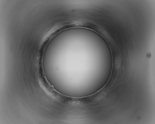 X0000112960730200909031021