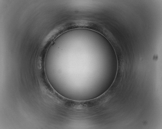 X0000112960731200909031021