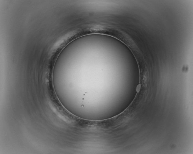 X0000112960732200909031021