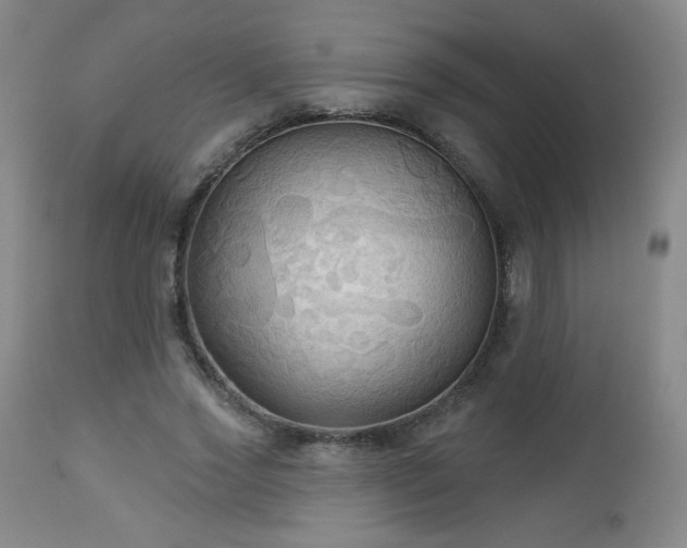 X0000112960733200909031021