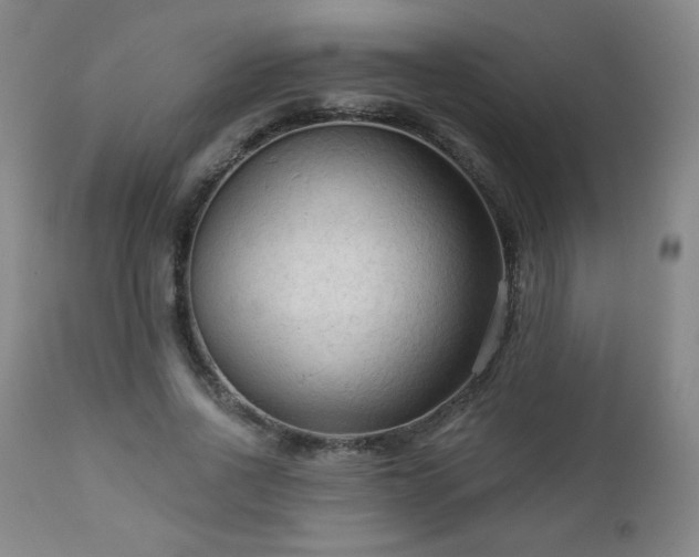 X0000112960734200909031021