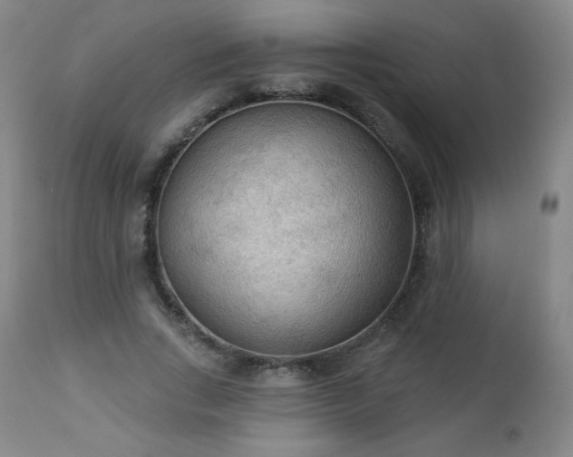 X0000112960735200909031021