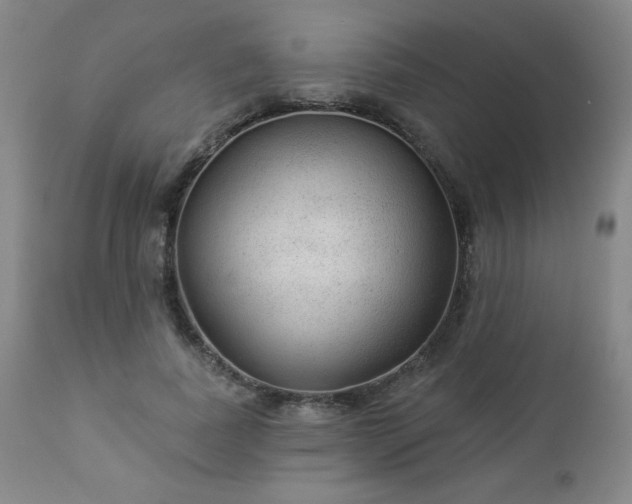 X0000112960739200909031021