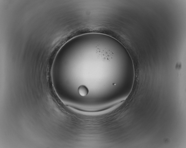 X0000112960740200909031021