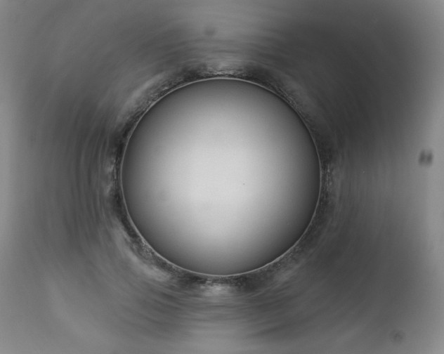 X0000112960741200909031021