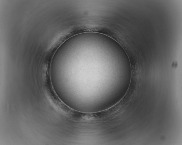 X0000112960742200909031021