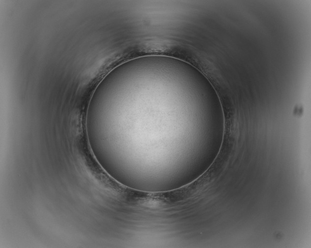 X0000112960743200909031021