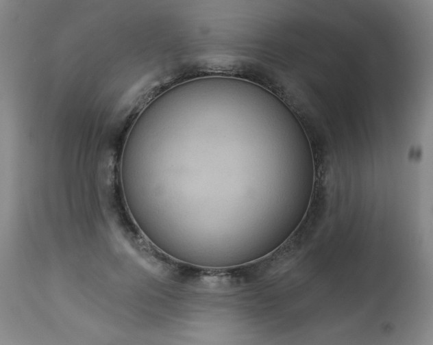 X0000112960744200909031021